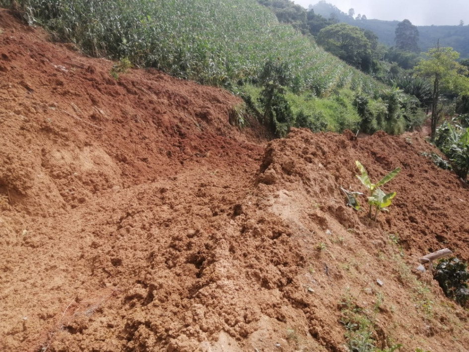 El derrumbe ocurrió entre las veredas Partidas y La Bendecida de Anserma (Caldas).