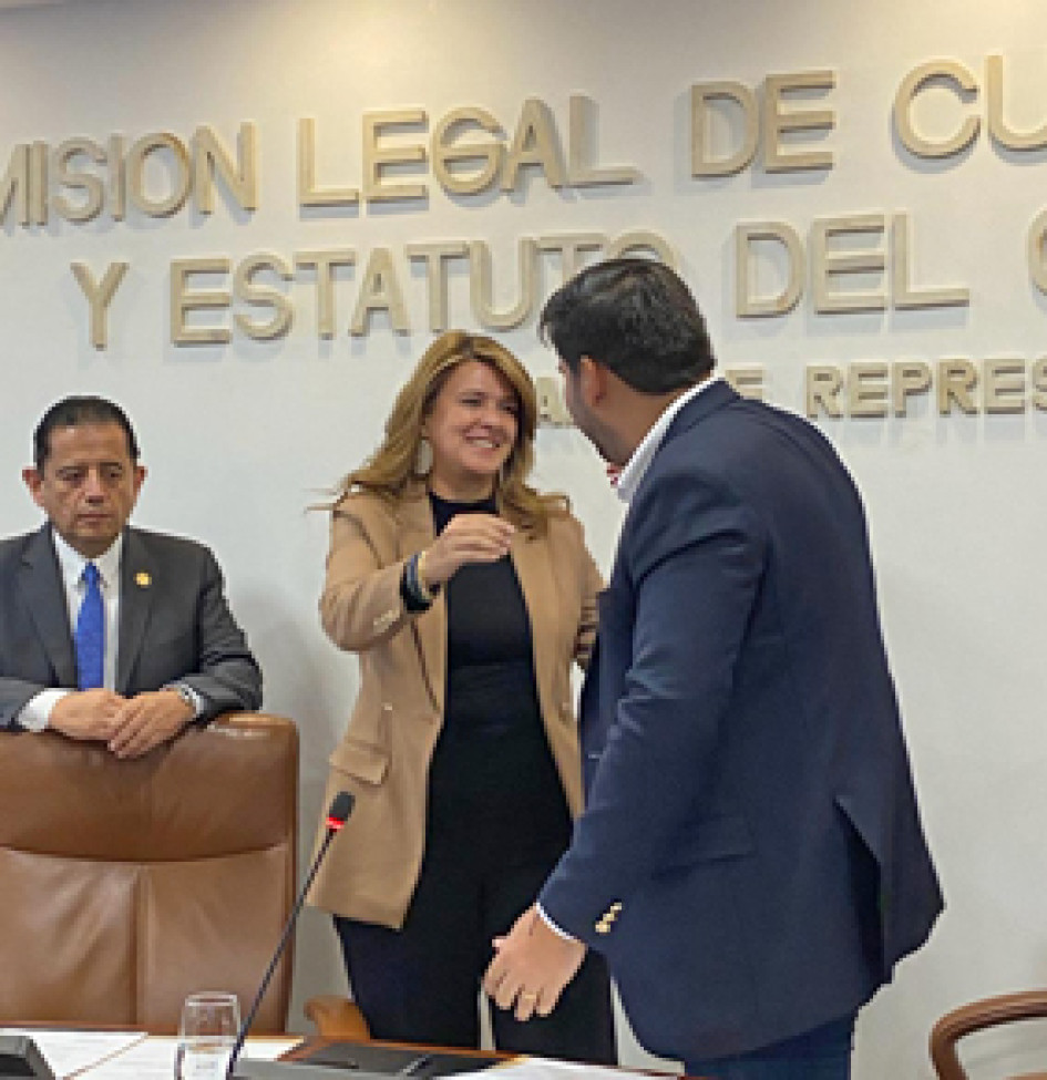 Presidenta en Comisión de Ética Foto|Cortesía|LA PATRIA