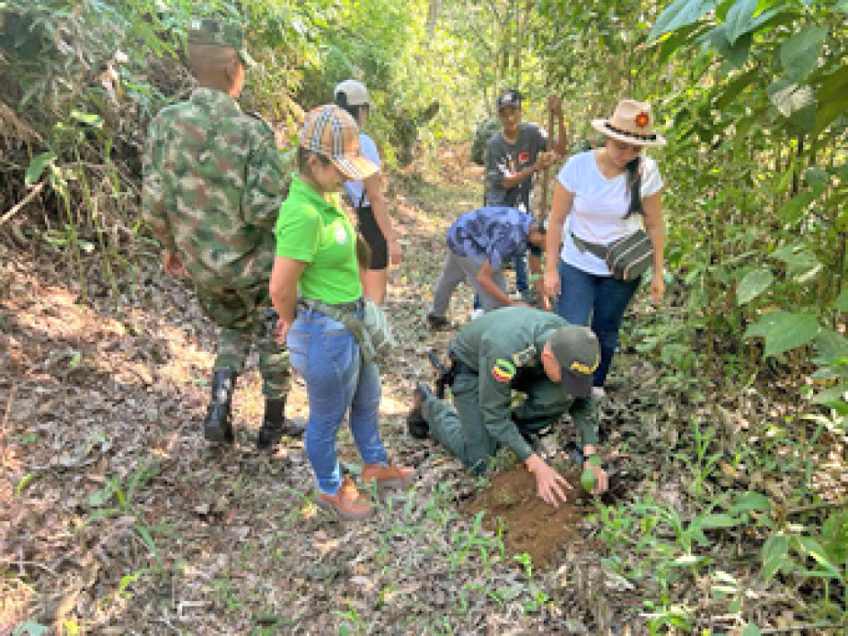 Sembrando la Navidad Foto|Tomada del Facebook Alcaldía Norcasia|LA PATRIA
