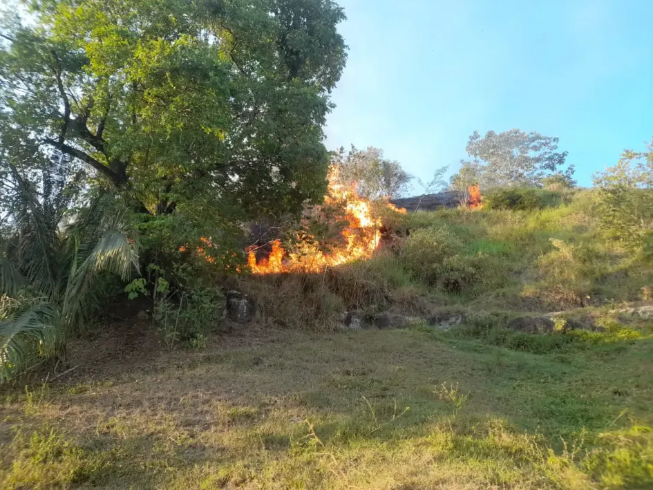 Un foco del incendio en Purnio (La Dorada). 