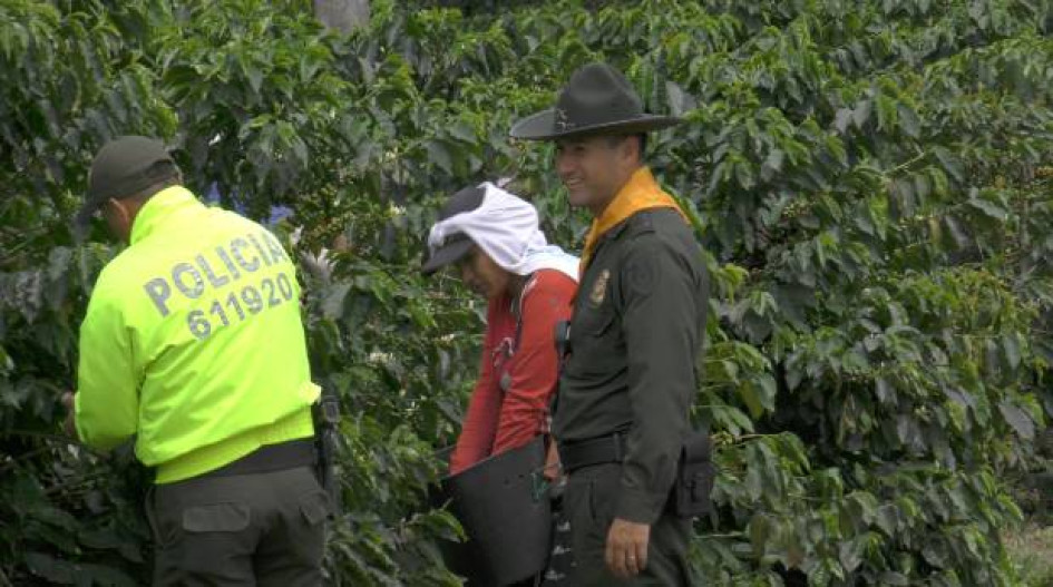 El Departamento de Policía Caldas adelanta operativos para garantizar la seguridad en la cosecha.