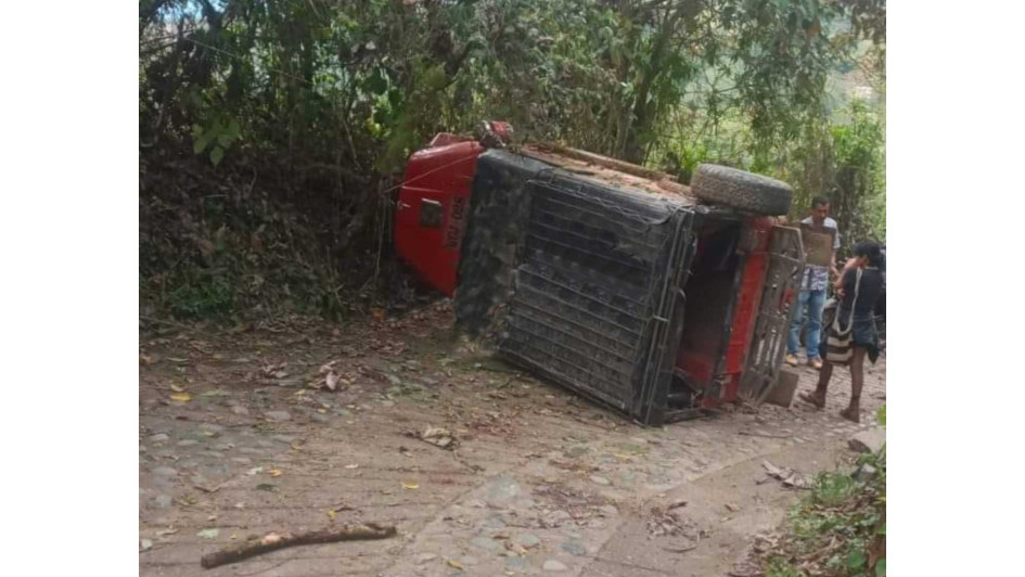 Al parecer, el vehículo, que transitaba por la vereda Palo Blanco de Anserma, presentaba fallas mecánicas en los frenos. No se registraron heridos.