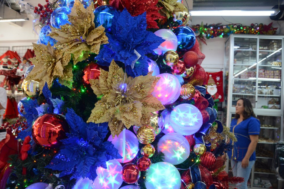 La Navidad ya está a flor de piel. Con la llegada de noviembre, los comerciantes aseguran que empiezan a despegar las ventas de las bodegas navideñas en Manizales. Los vendedores ponen sus esperanzas en que esta temporada sea su salvavidas económico del año.