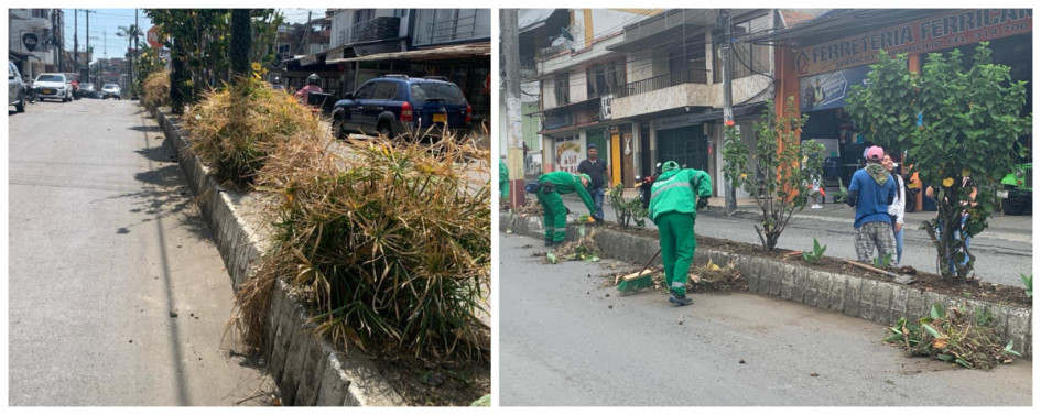 ANTES. Así estaban las plantas del separador. AHORA. Actualmente, Crea les hace el mantenimiento.