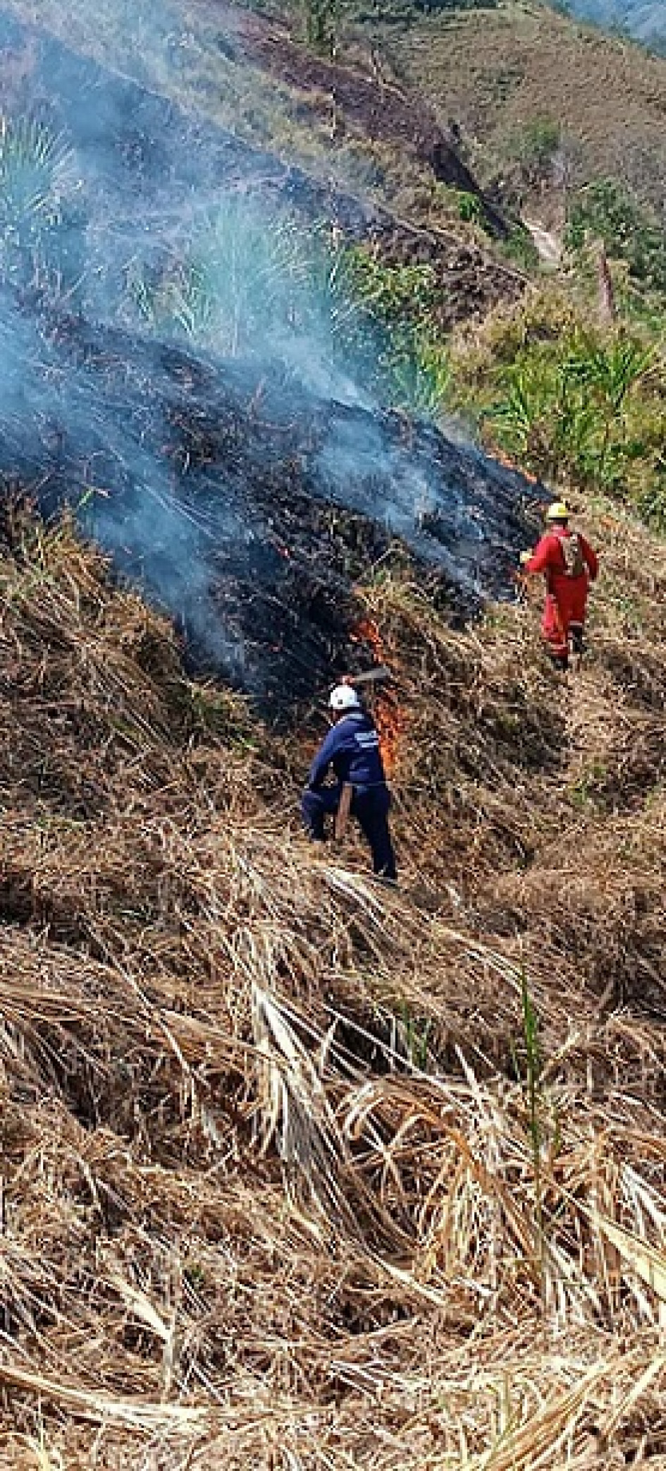 Vecinos molestos con incendio Foto|Cortesía Bomberos Pácora|LA PATRIA