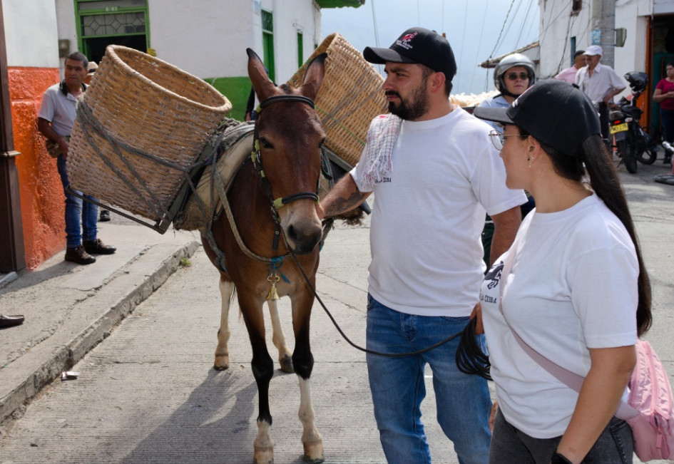 La llegada de la mula, una vieja tradición que se recupera en Salamina para reavivar la solidaridad por los adultos mayores.