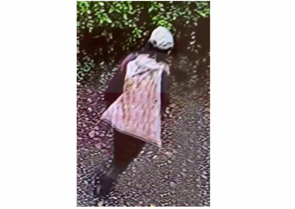 El supuesto ladrón.