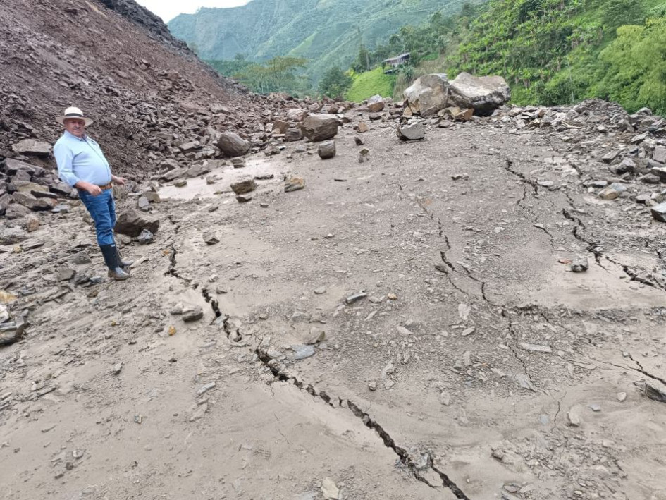 LLanadas -Margaritas