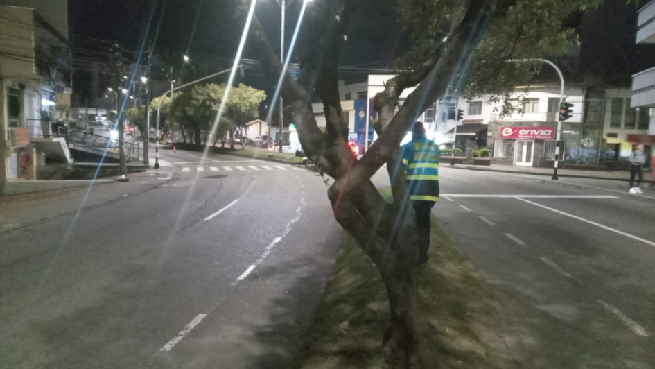 Contra este árbol chocó uno de los motociclistas fallecidos este año.