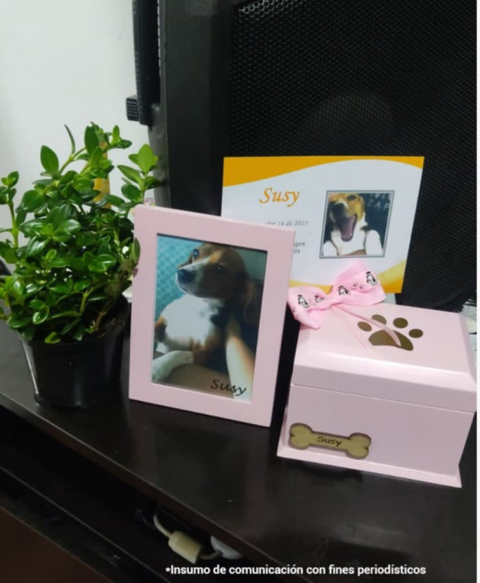 Los dueños recuerdan a Susy