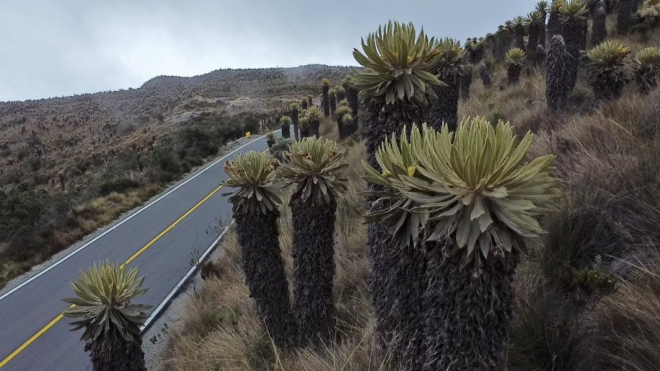La medida de pico y placa ambiental se inicia desde el sector de La Esperanza (Manizales) hasta Murillo (Tolima), por la vía que bordea el volcán Nevado del Ruiz.