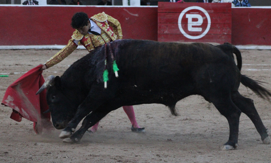 Corridas de toros en México