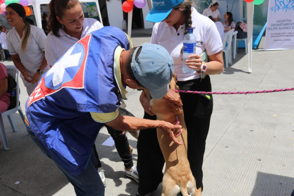 108 mil 960 animales, incluyendo perros, fueron vacunados en el 2024.