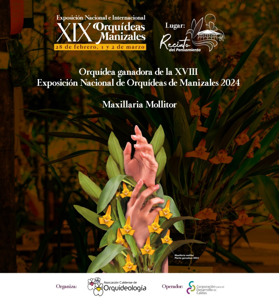 XIX Exposición Nacional e Internacional de Orquídeas de Manizales XIX Exposición Nacional e Internacional de Orquídeas de Manizales