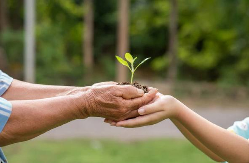 Dos personas sostienen con sus manos una planta.