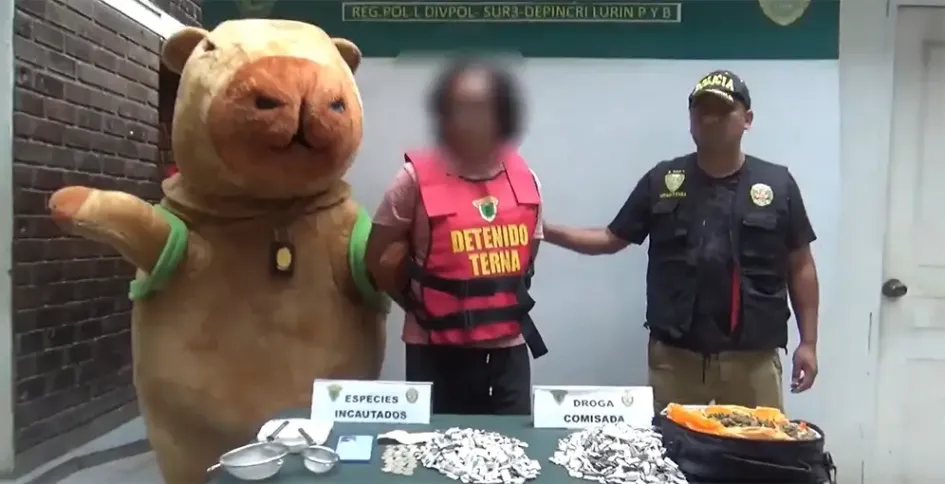 El video del agente vestido con el enorme disfraz entrando al domicilio del delincuente y atrapándolo se ha hecho viral en las redes