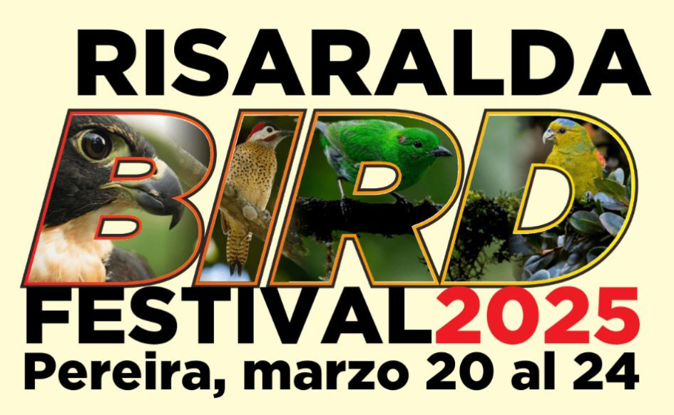 Risaralda Bird Festival, del 20 al 24 de marzo del 2025. Conozca la programación y las rutas.