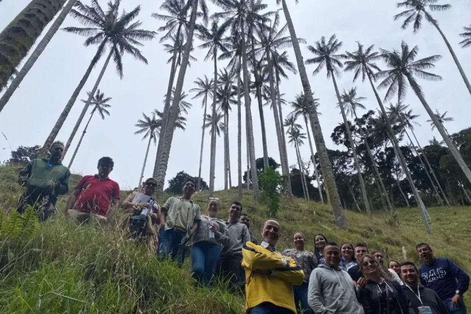 Personas recorriendo el bosque de palma de cera en el Mirador Valle de la Samaria en San Félix (Salamina).