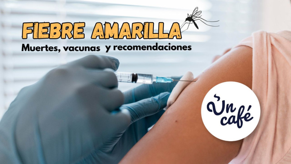 Fiebre amarilla: muertes, vacunas y recomendaciones