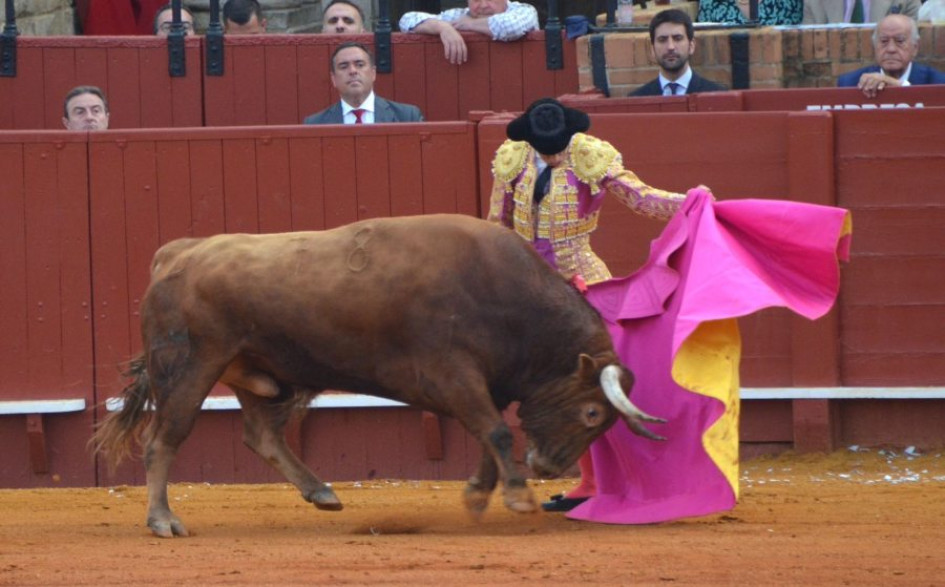 Verónica de Pablo Aguado al tercero de la tarde ayer en Sevilla.