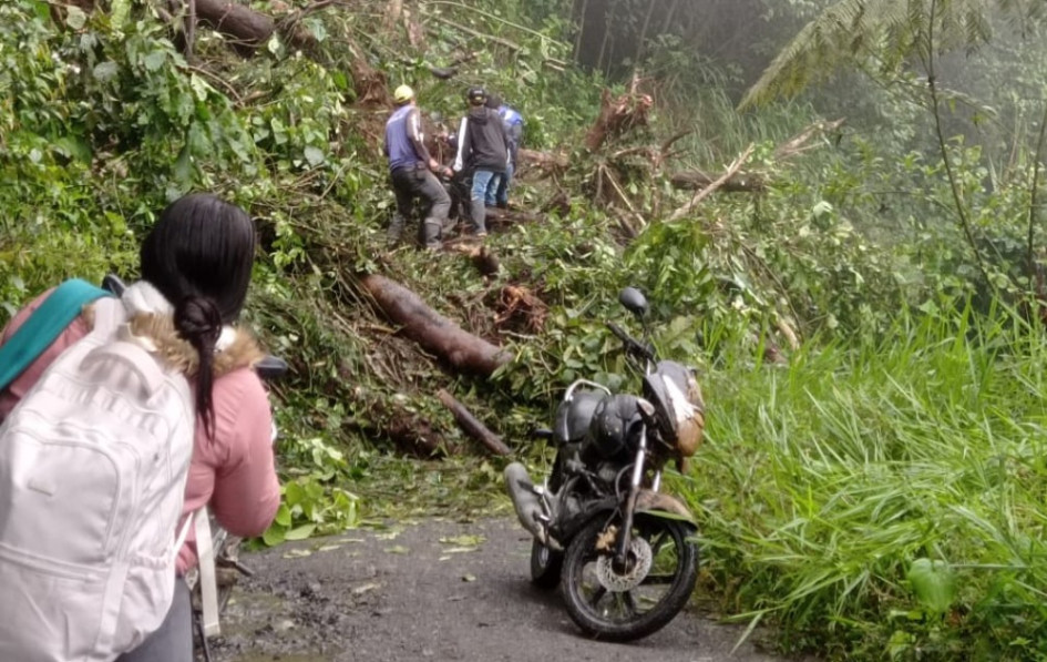 Las lluvias no dan tregua en el departamento de Risaralda. Hay alerta roja por deslizamientos, inundaciones y vedavales 