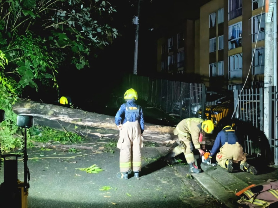 Este es el árbol cayó sobre un transformador en el sector de Nogales. La UGR realiza monitoreo a zonas de alto riesgo y a las estaciones hidrometeorológicas con el objetivo de anticipar posibles afectaciones y actuar de manera oportuna.