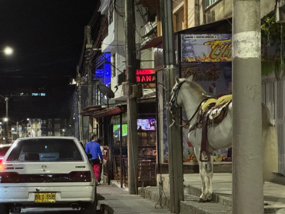 Los caballos en la avenida El Libertador de Anserma.