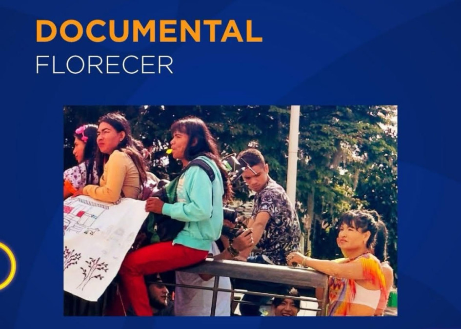 Telecafé brilla en los Premios TAL 2025 con seis nominaciones