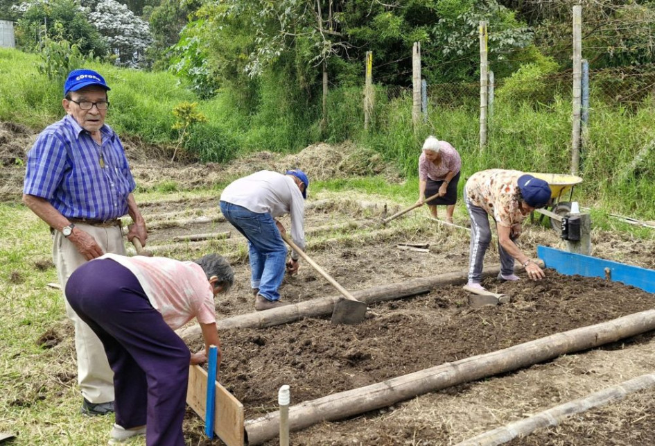 Los adultos mayores trabajando en la huerta del Centro Vida del barrio Aranjuez. 