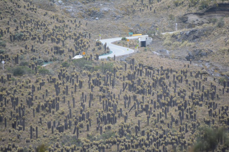 La restricción aplica todo el día y se inicia desde el sector de La Esperanza (Manizales) hasta Murillo (Tolima).