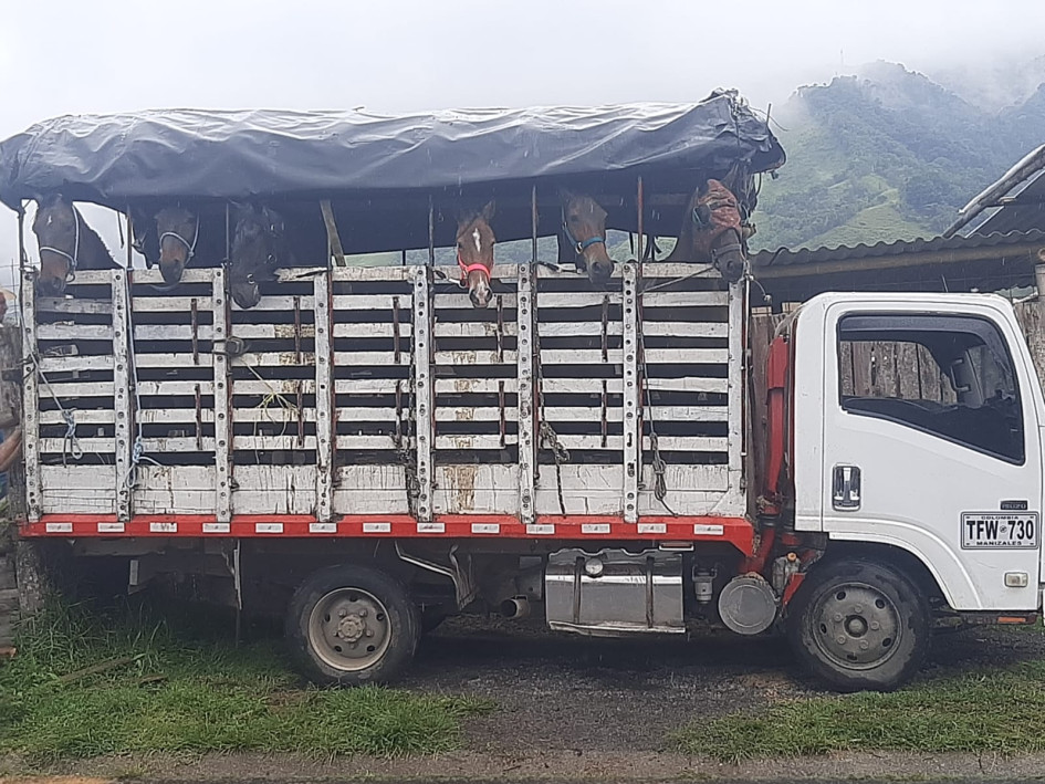 Cinco sujetos con armas de fuego serían los autores del robo del camión en Neira.