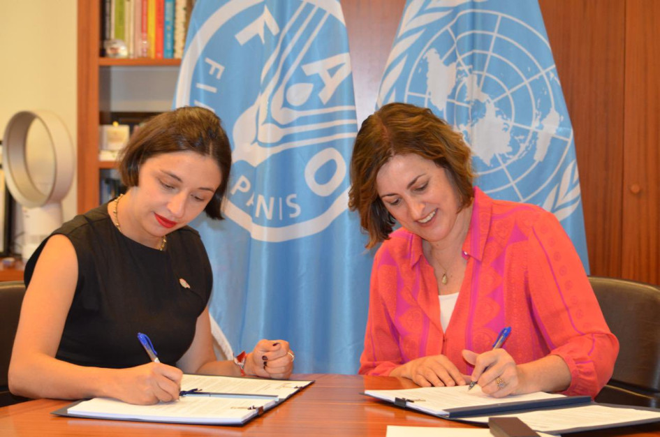 "Suscribimos con la FAO el acuerdo para mejorar las capacidades para el desarrollo de la salud del suelo y la producción de alimentos. Nuestros suelos, un recurso finito, son el patrimonio fundamental de la soberanía alimentaria! Un esfuerzo conjunto de @FAO_Colombia  y el @MinAgricultura". escribió la ministra de Agricultura, Marta Carvajalino, en su cuenta de X.