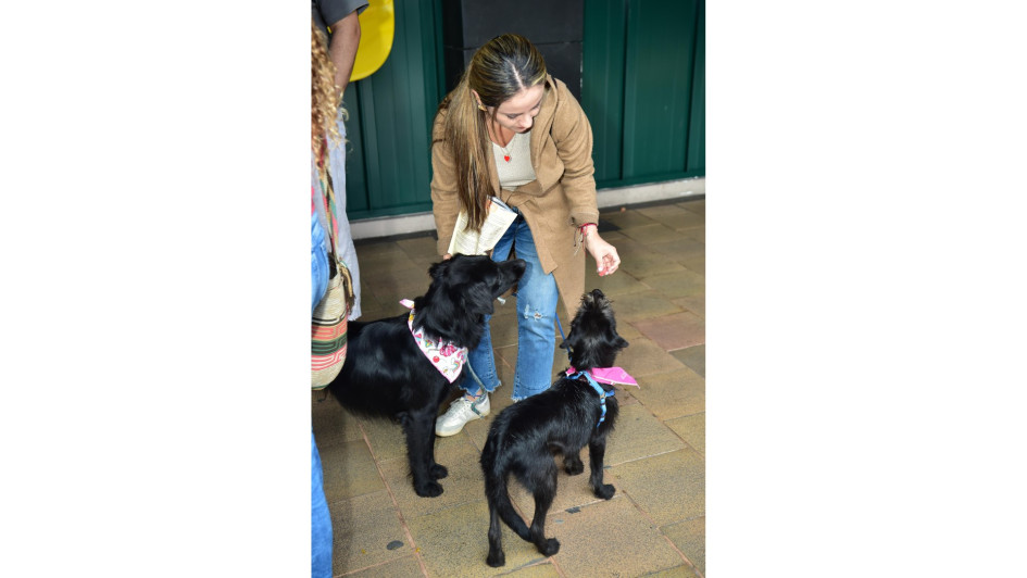 Cada uno de los perros presentes ha sido rescatado y rehabilitado por la Unidad de Protección Animal,