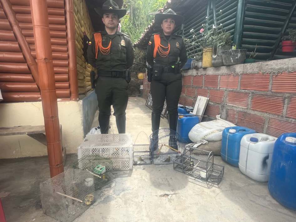 Los animales recuperados en Marmato pasarán a un proceso de recuperación para su posible liberación.