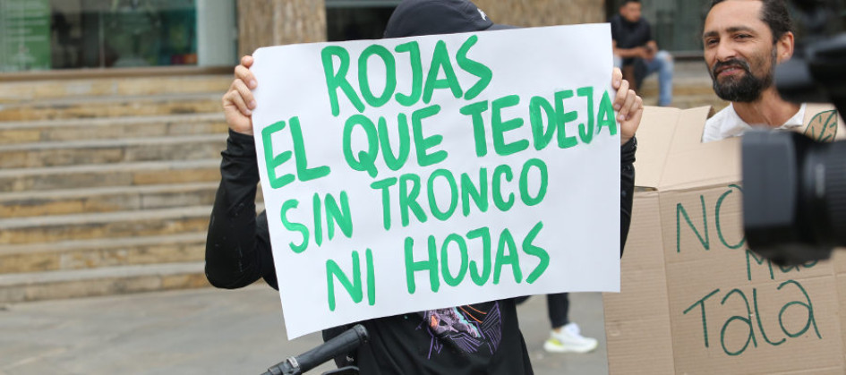 Este tipo de mensajes se pudieron leer durante el plantón en rechazo de la tala de árboles en Manizales. 