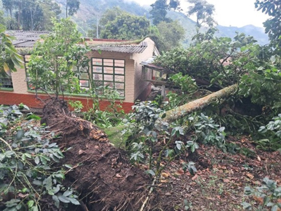 El vendaval en la madrugada de ayer tumbó árboles que cayeron encima de la escuela de la vereda Altomira, de San José.