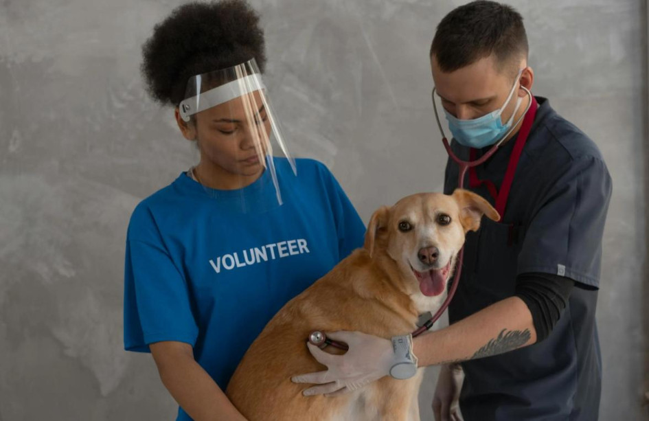 Cuidar a quienes cuidan: la formación que conecta salud animal y emocional