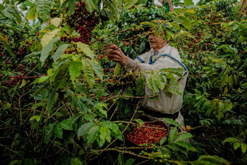 Entrevista con Paula Cortés Calle, presidente ejecutiva de la Asociación Colombiana de Agencias de Viajes y Turismo (Anato). Estos son los retos del turismo en el Eje Cafetero y el país. El sector supera las divisas del café y se acerca al petróleo.