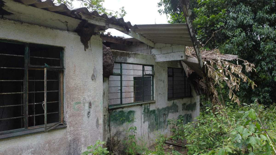 Insectos y maleza habitan lo que fue la escuela Costa Rica, sede de la Institución Educativa Rancho Largo, de Samaná.