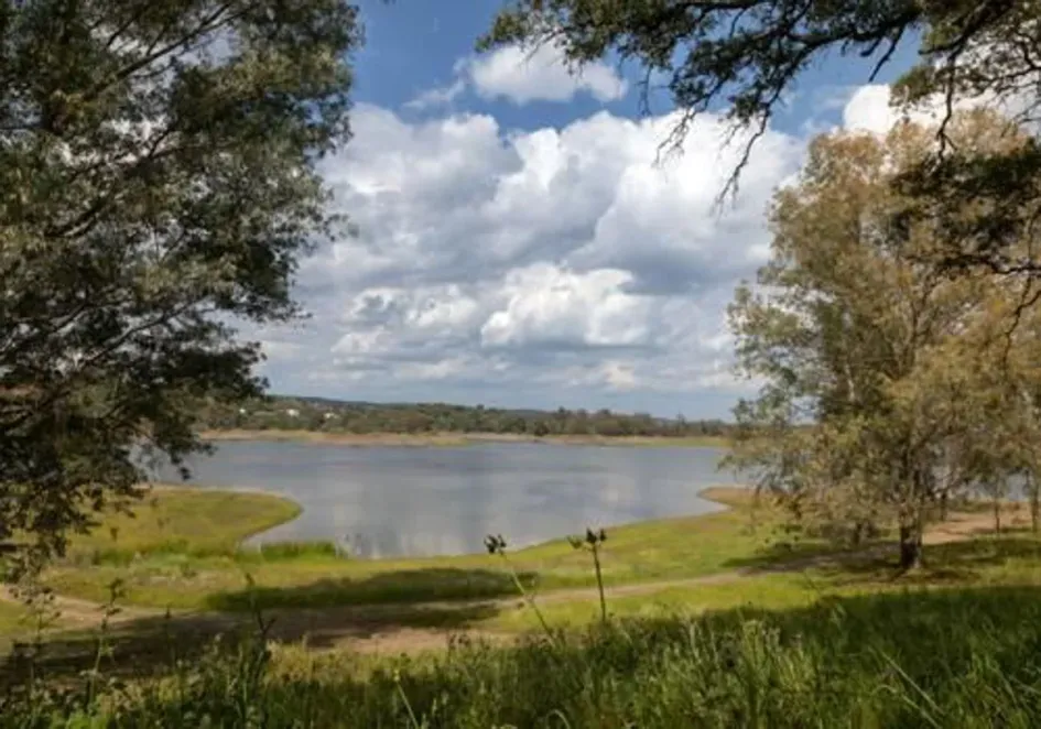 Lago de Guillena (Sevilla, sur).