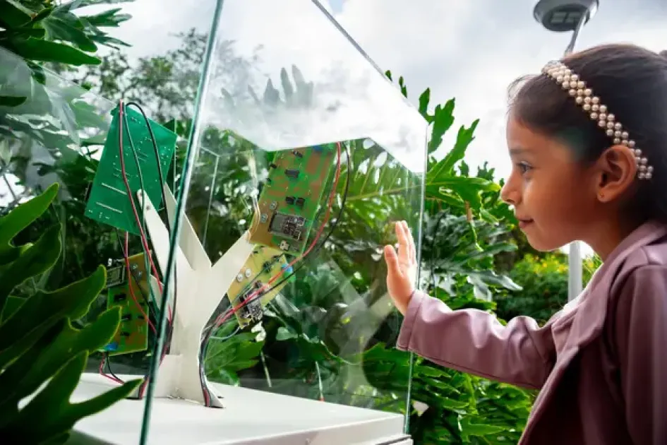 Okúa, el primer jardín biosonoro de Colombia, permite escuchar la “música” de las plantas en el Bioparque Ukumarí de Pereira. El espacio fue inaugurado en julio.