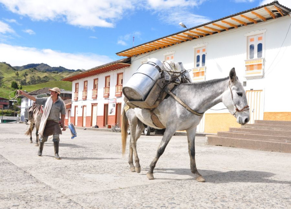 Conozca la programación de las Fiestas del Regreso al Paraíso del Norte de Caldas, San Félix (Salamina).