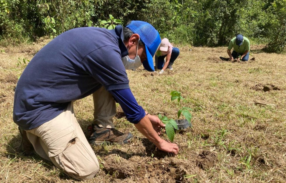 Alcaldía de Manizales lidera ambicioso plan de sostenibilidad con impacto urbano y rural