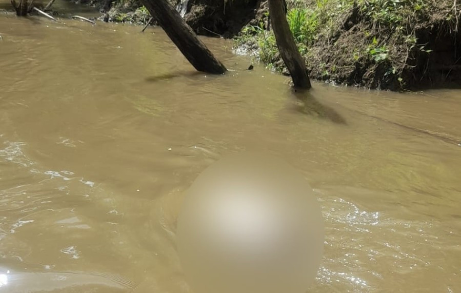 El hallazgo del cuerpo desmembrado y decapitado se dio en el sector conocido como El Cinco de La Virginia, el lunes 18 de agosto 