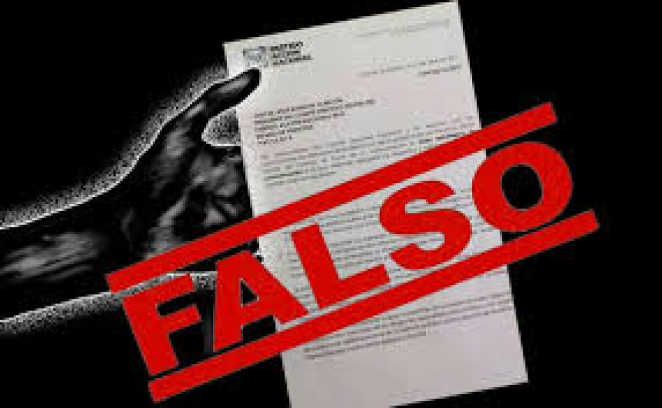 Le imputaron el artículo 291 del Código Penal, uso de documento falso.