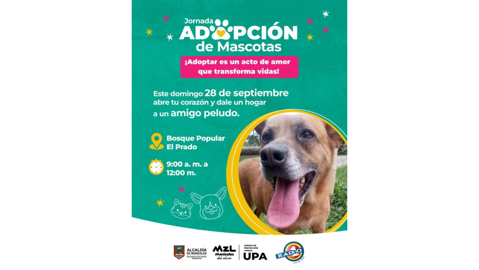 La jornada de adopción será este domingo 28 de septiembre. 