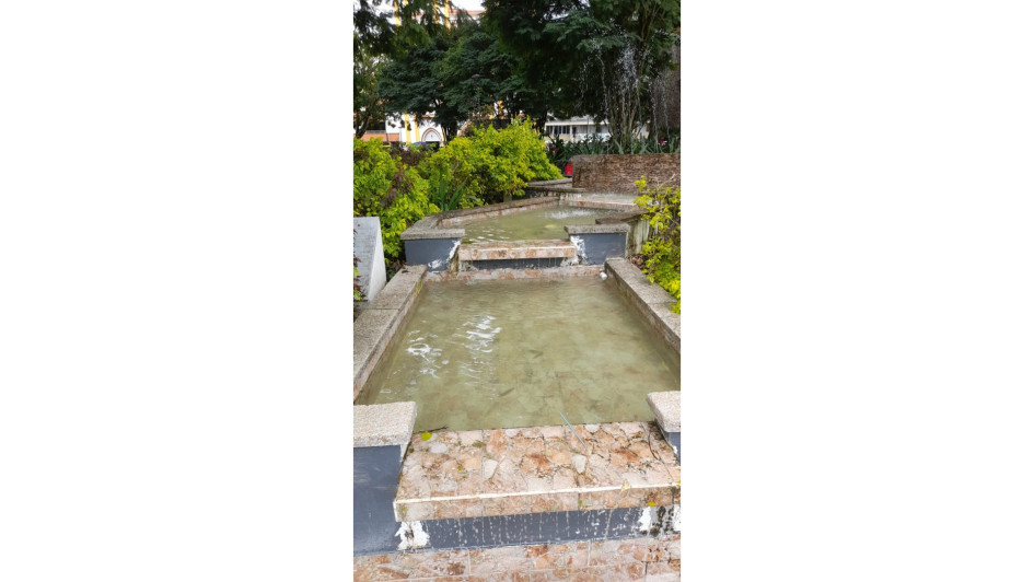 Tras el lavado, ya cambió su imagen.