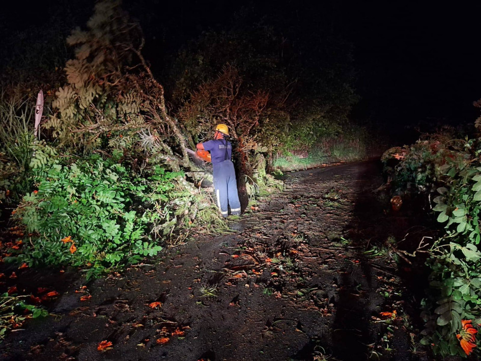 Los árboles derribados obstruyeron la carretera.