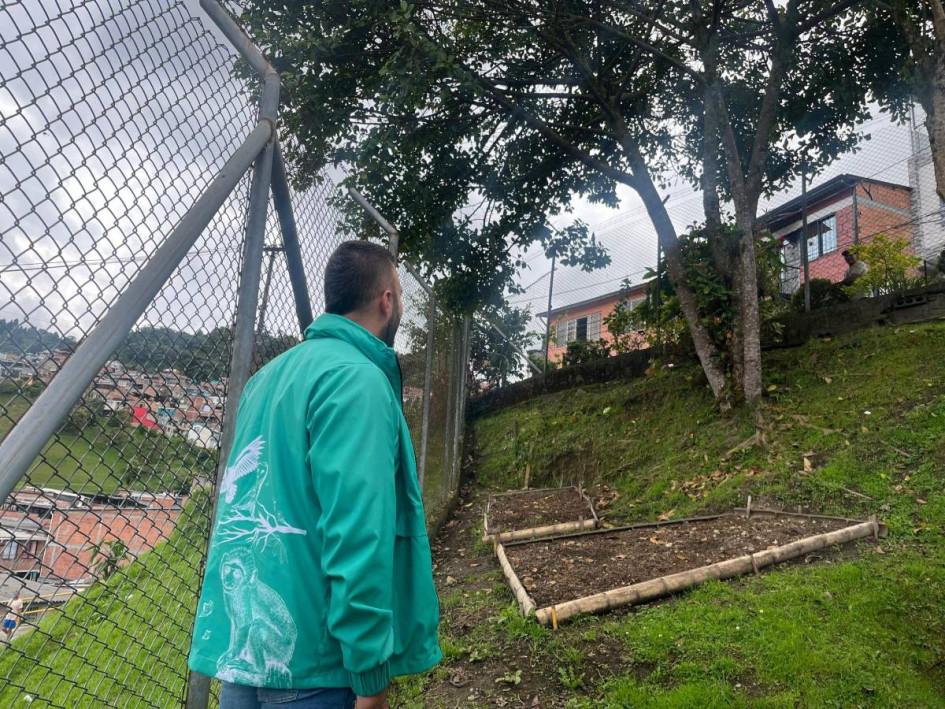 Entre el 2024 y el 2025 la Alcaldía de Manizales ha atendido alrededor de 7 mil 350 árboles. 