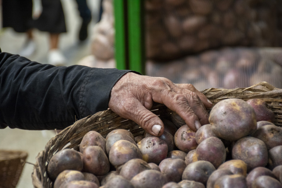 Papa en Colombia: biodiversidad, empleo y un futuro sostenible